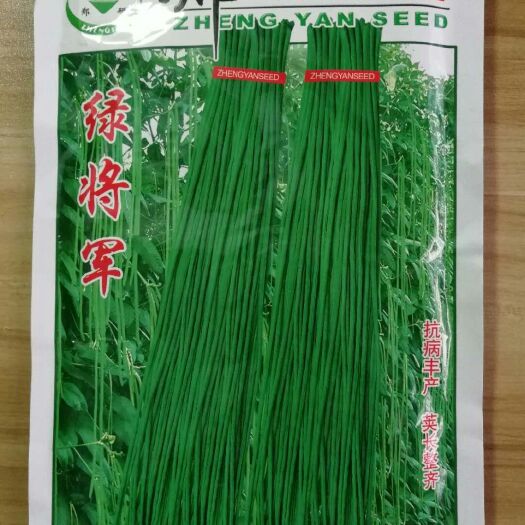 夏邑县豆角种子  优质高产豇豆种子，无鼓籽，连续结荚性好，亩产10000斤左右