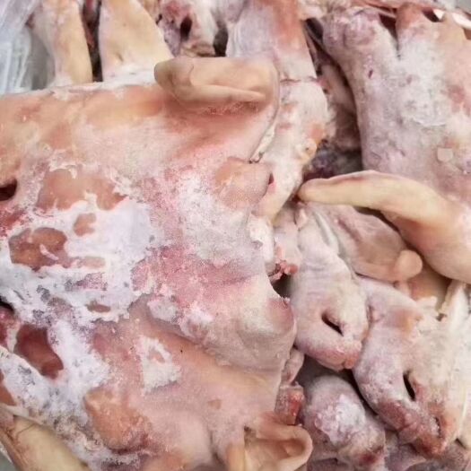 中牟县 羊头肉