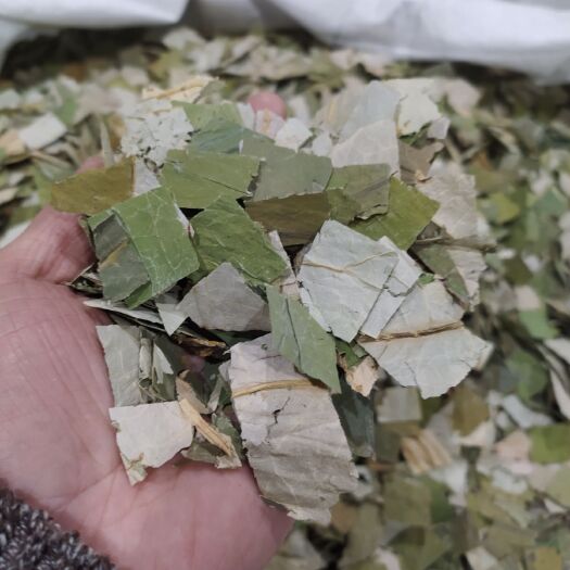 亳州荷叶块 荷叶丝供应