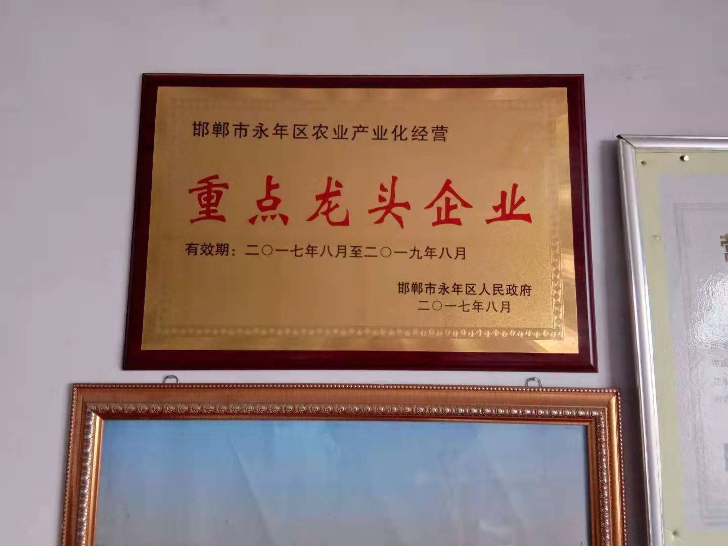 发酵纯羊粪纯羊粪发酵而成完全腐熟透彻可以放心使用全国发货优惠