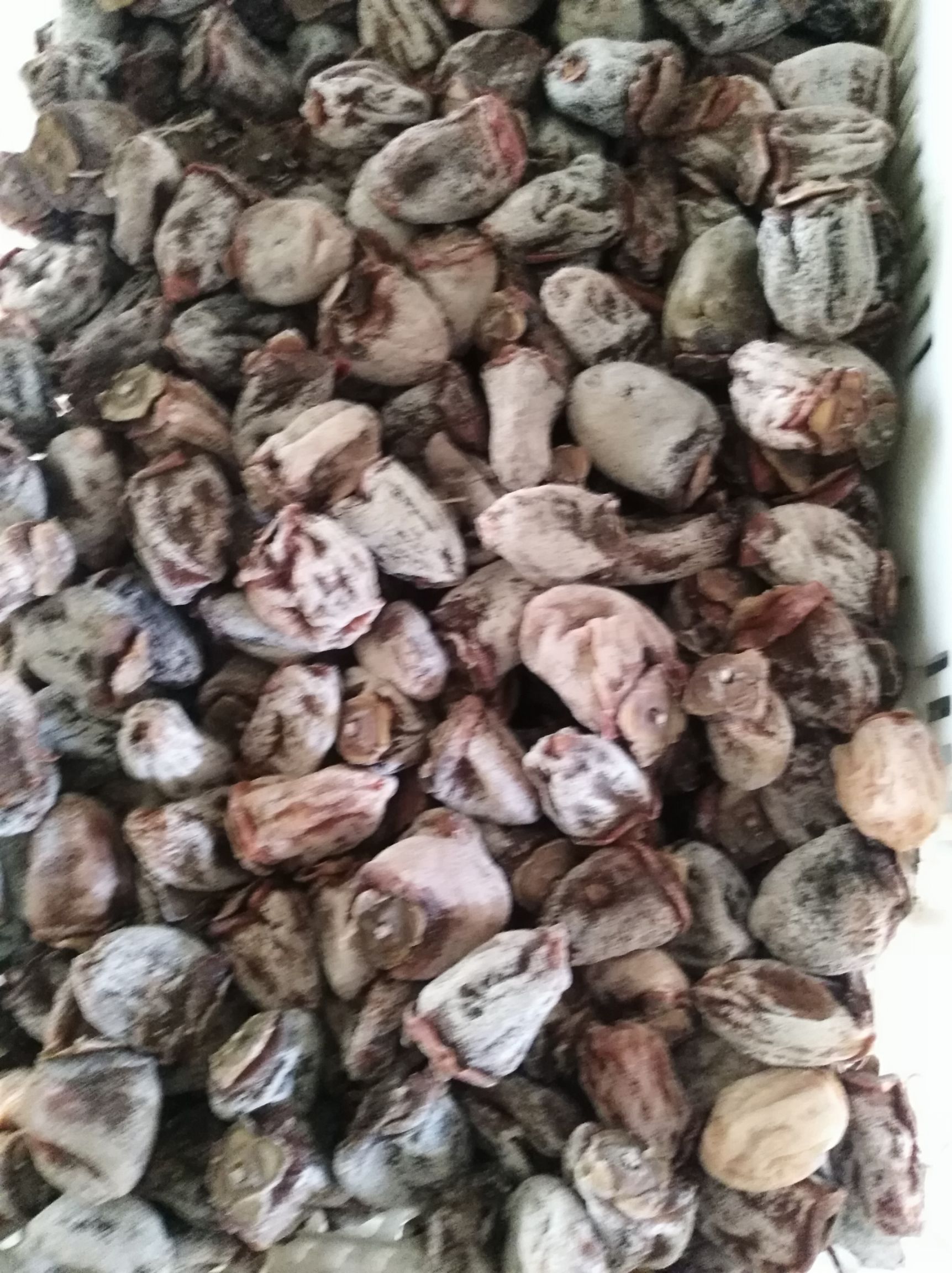 沂蒙山青州农家牛心柿降霜小柿饼