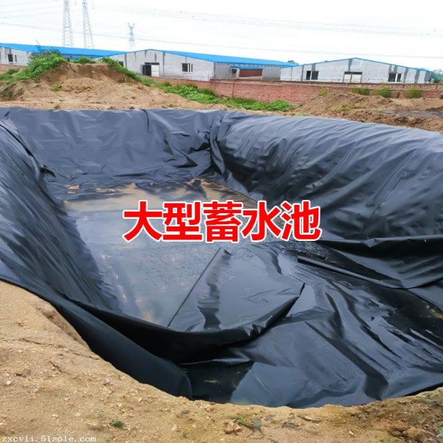 鱼塘防渗膜复合土工膜加厚塑料膜地膜防漏水池塘防水布鱼池专用