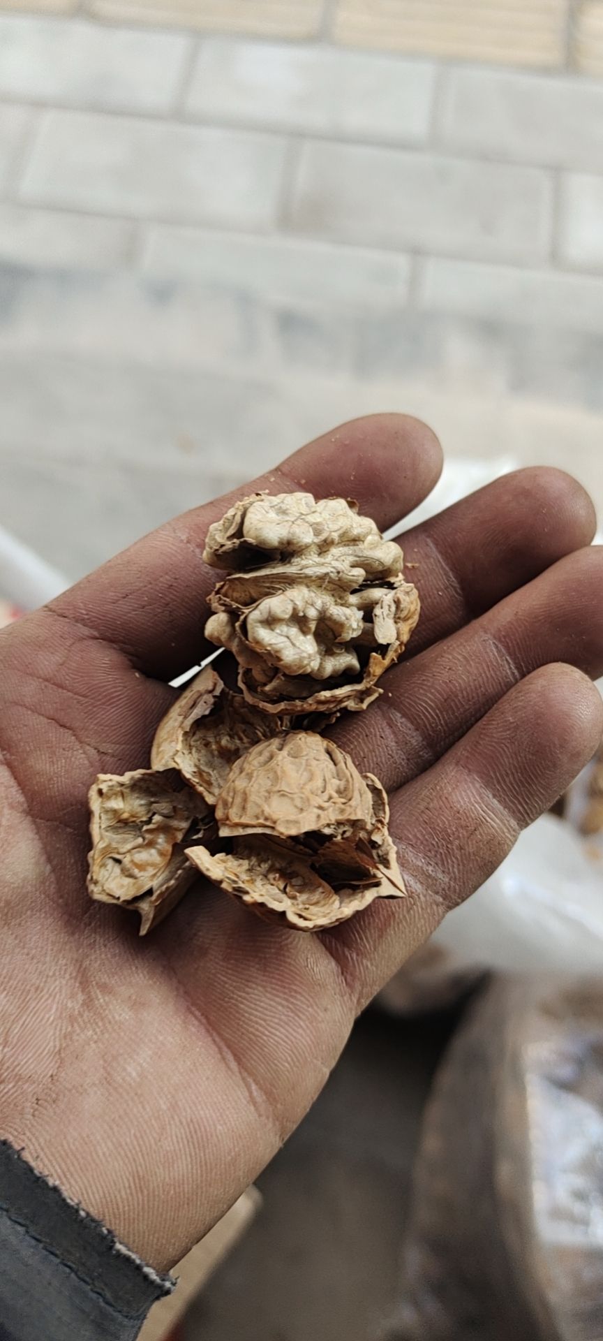 薄皮核桃 核桃，泡核桃