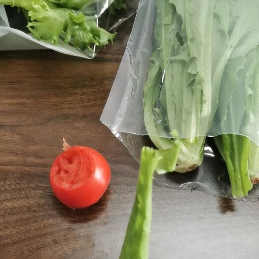 潍坊长寿菜 水培菜。无公害，免洗，价格私聊