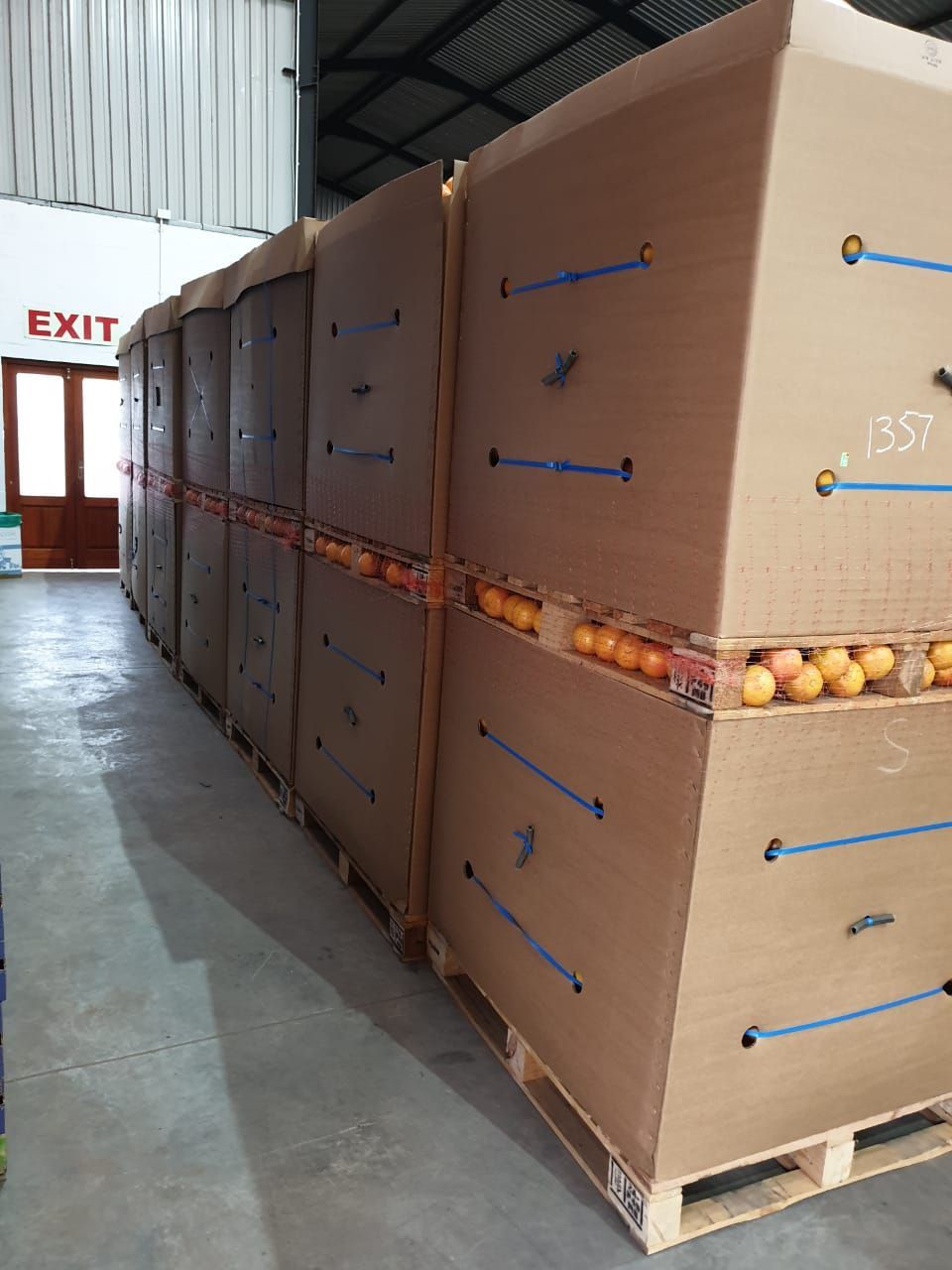 红心柚  供应南非红心西柚pp果