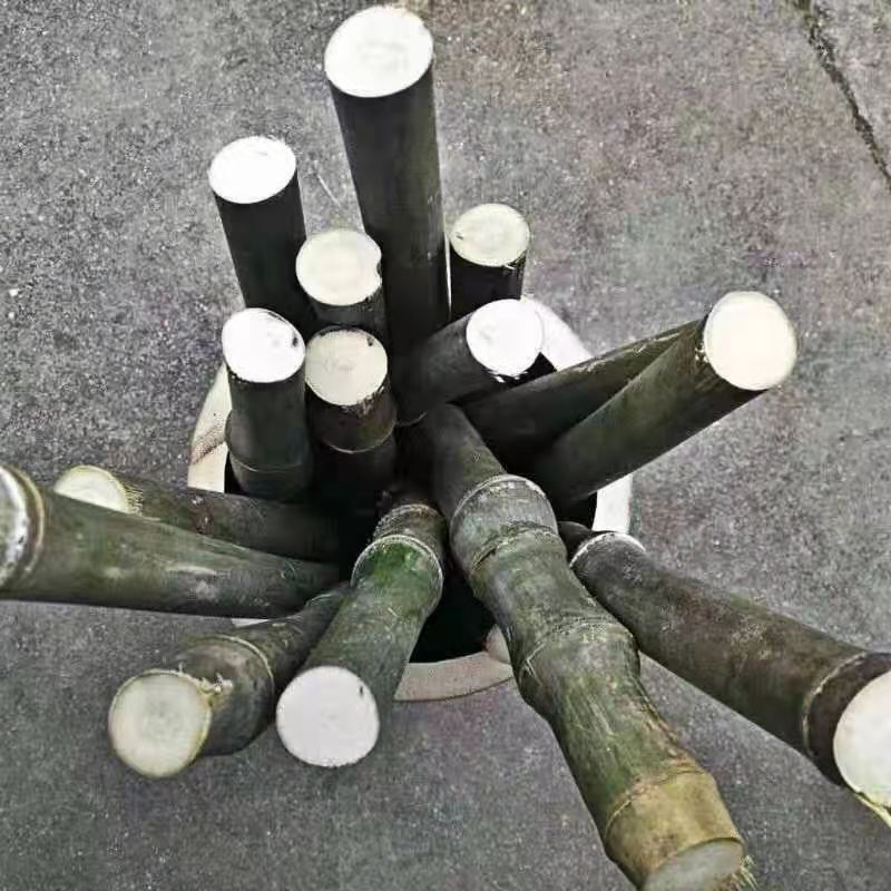 竹子 实心竹，质地优良，工艺！