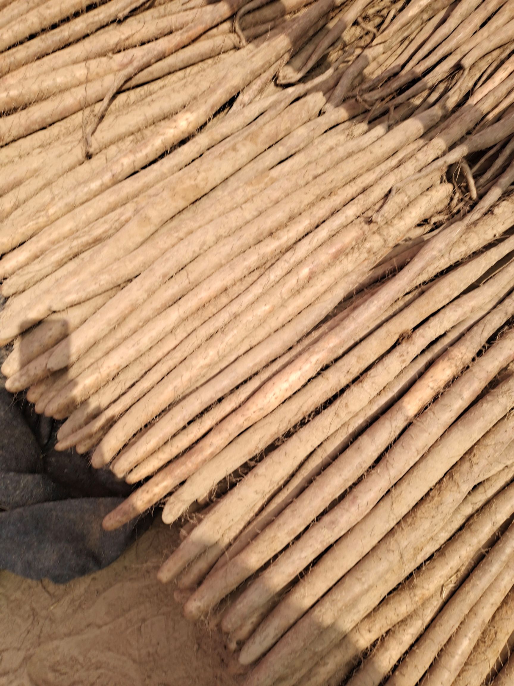 白玉山药现挖新货。产地直供物美价廉。各种等极齐全