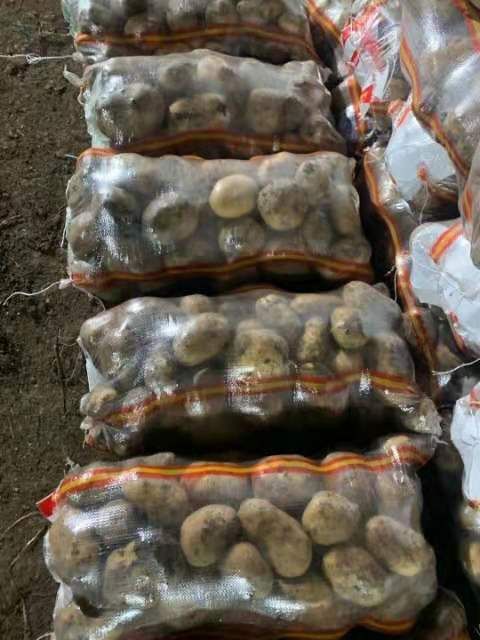  牡丹江尤金885土豆，是市场上非常认可的品种，黄皮黄心薯型好