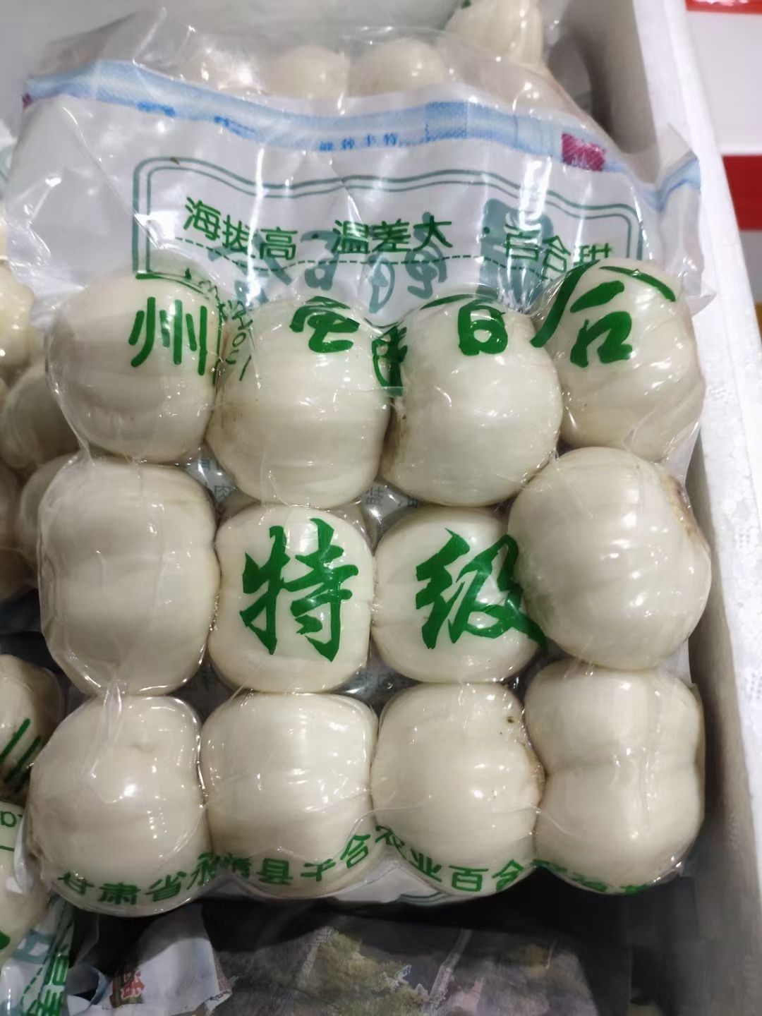 甜百合  鲜百合，新货上市，量大从优