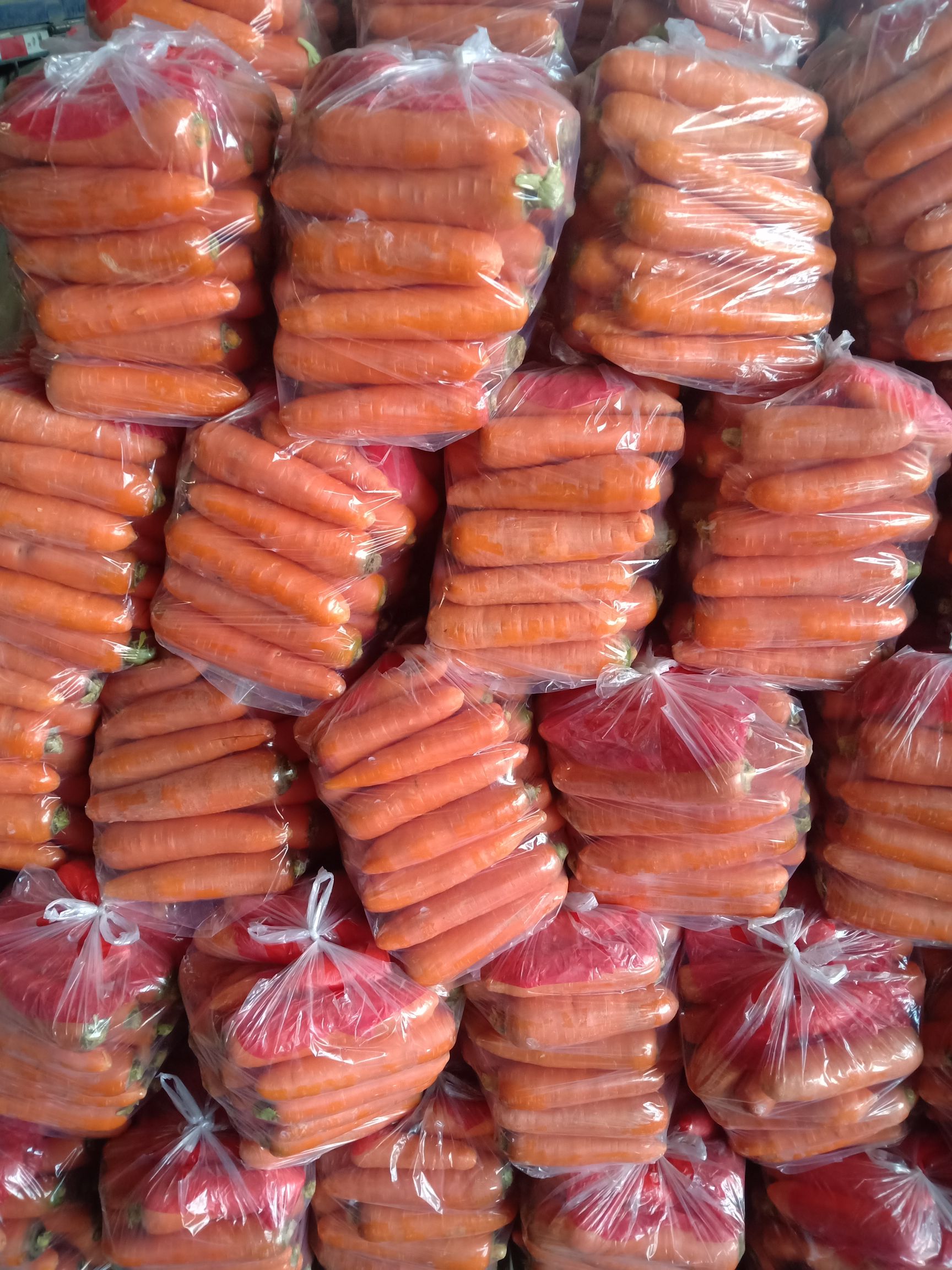 红皮胡萝卜 水洗胡萝卜大量有货