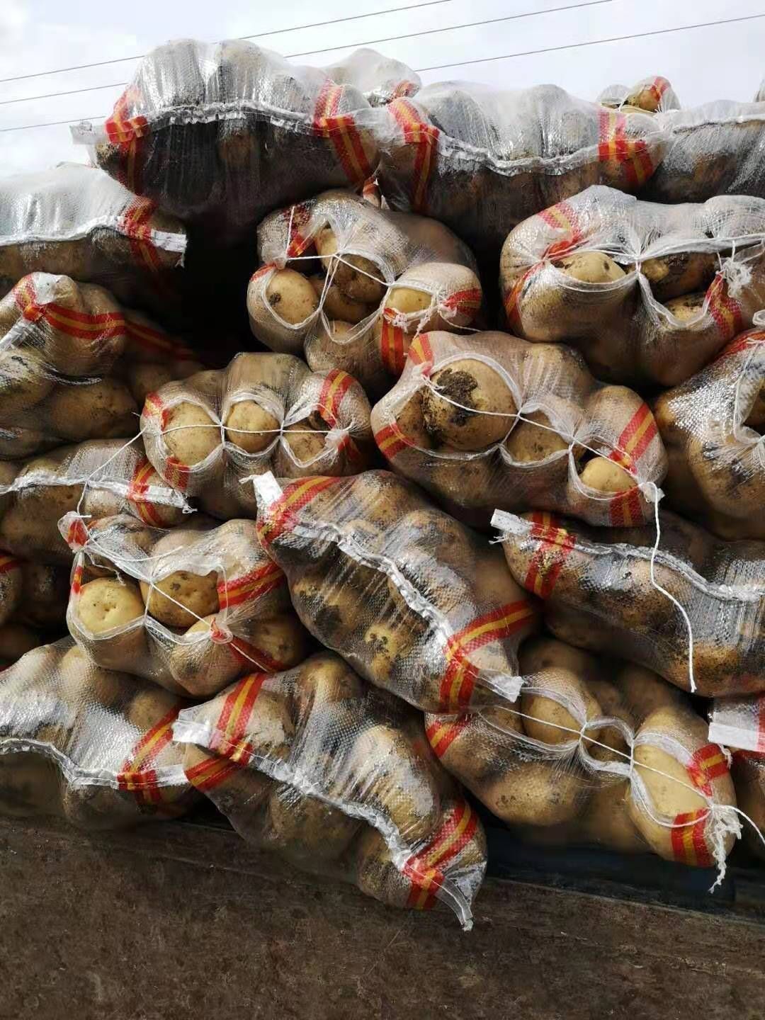  牡丹江尤金885土豆，是市场上非常认可的品种，黄皮黄心薯型好