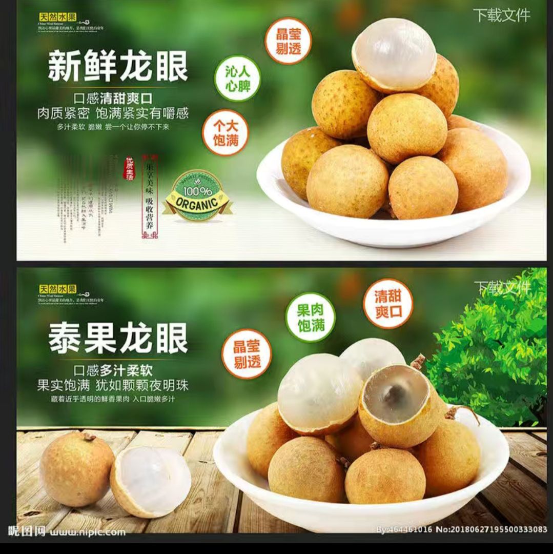 泰国红皮龙眼苗 四季龙眼苗  石硖龙眼苗  储良龙眼苗