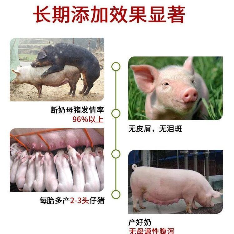 混合型饲料添加剂  【母猪】母猪宝高产仔发情泪斑死皮便秘套餐用品