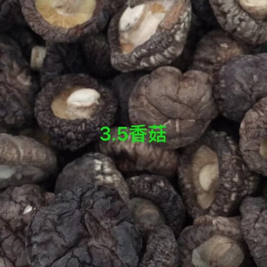 郑州香菇808 河南省郑州市惠济区 干香菇 2.5cm~4cm