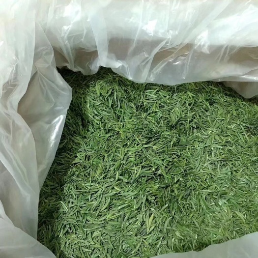 湄潭县毛尖茶 湄潭县绿茶翠芽（明前茶），绿色有机生态茶。白天采，晚上制作。