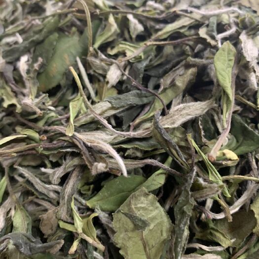 福安市白牡丹茶 2020福鼎白茶 大白白牡丹500g