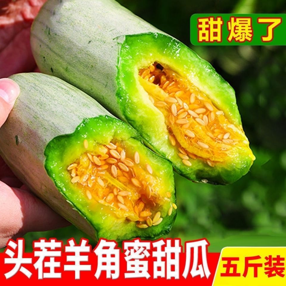 山东羊角蜜甜瓜水果新鲜包邮小密瓜香瓜蜜瓜绿香瓜5斤应当季整箱
