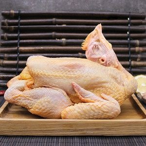 天柱县鸡肉类  贵州黔东南三黄鸡
