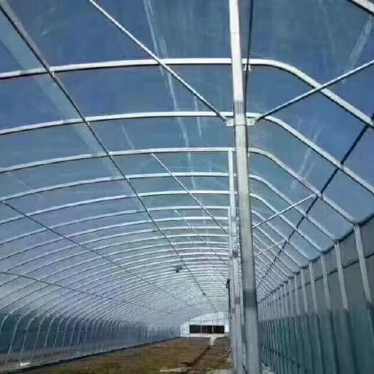 天津 实体厂家承接大棚建设