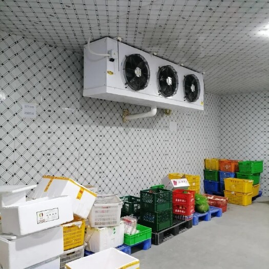 大理市冷库冻库设备保鲜库冰库冷藏库蔬菜水果风冷库制冷设备安装