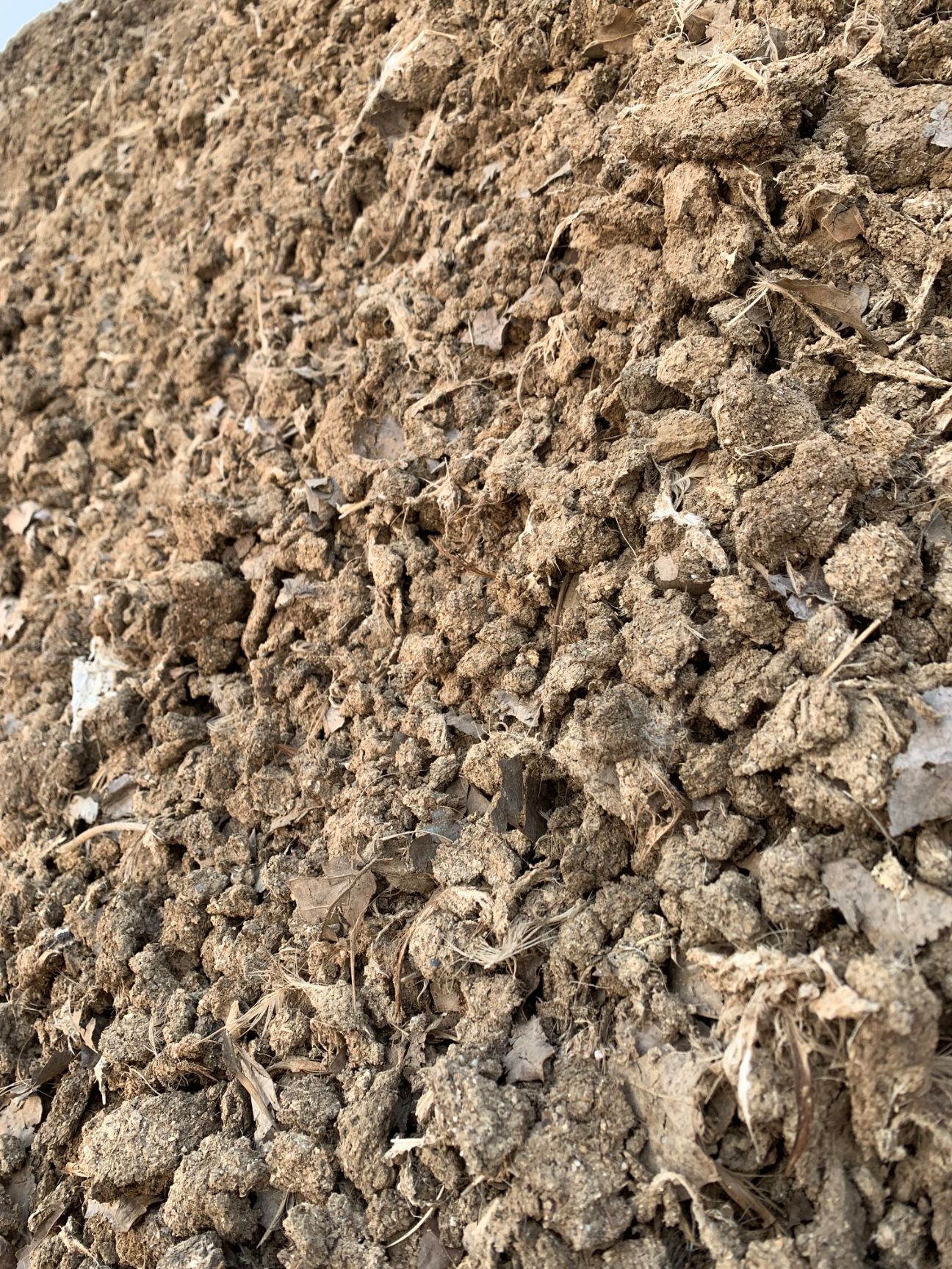 干鸡粪块 纯鸡粪干 假一赔十鸡粪