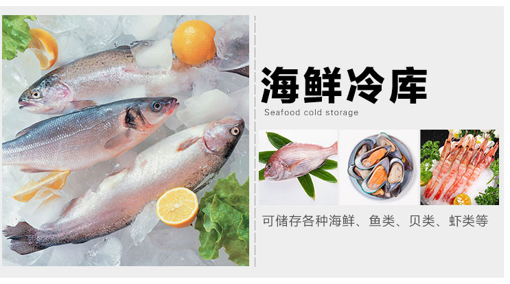 冷藏设备  重庆保鲜冷藏大型冷库全套设备 移动冷凝制机组集装