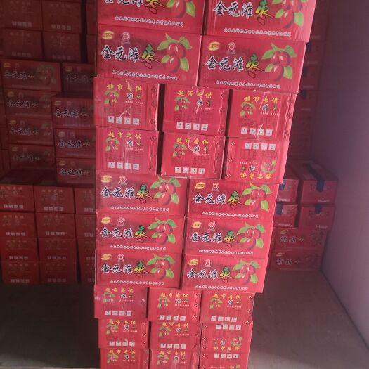 临汾红枣系列产品 骏枣灰枣滩枣紫晶枣等