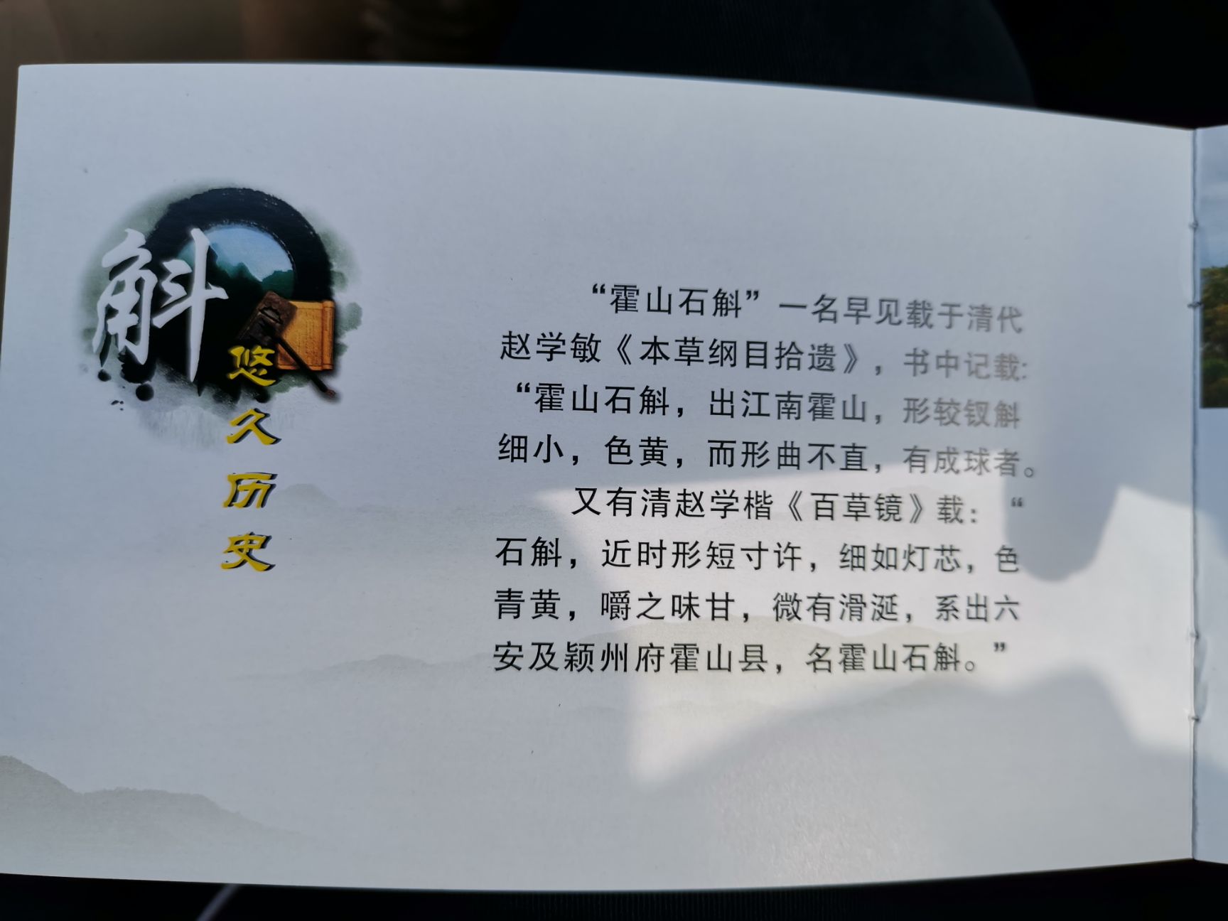石斛米斛  正宗霍山米斛 九大仙草之首