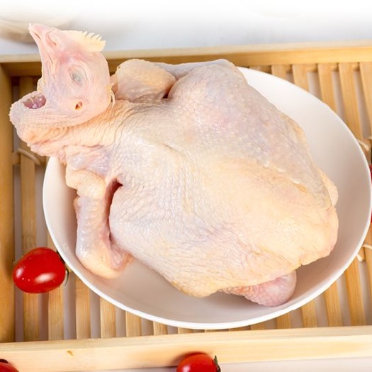 天柱县鸡肉类  贵州联合润农，品种多样