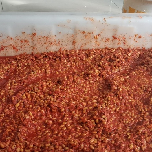 弥渡县水豆豉  纯手工水豆