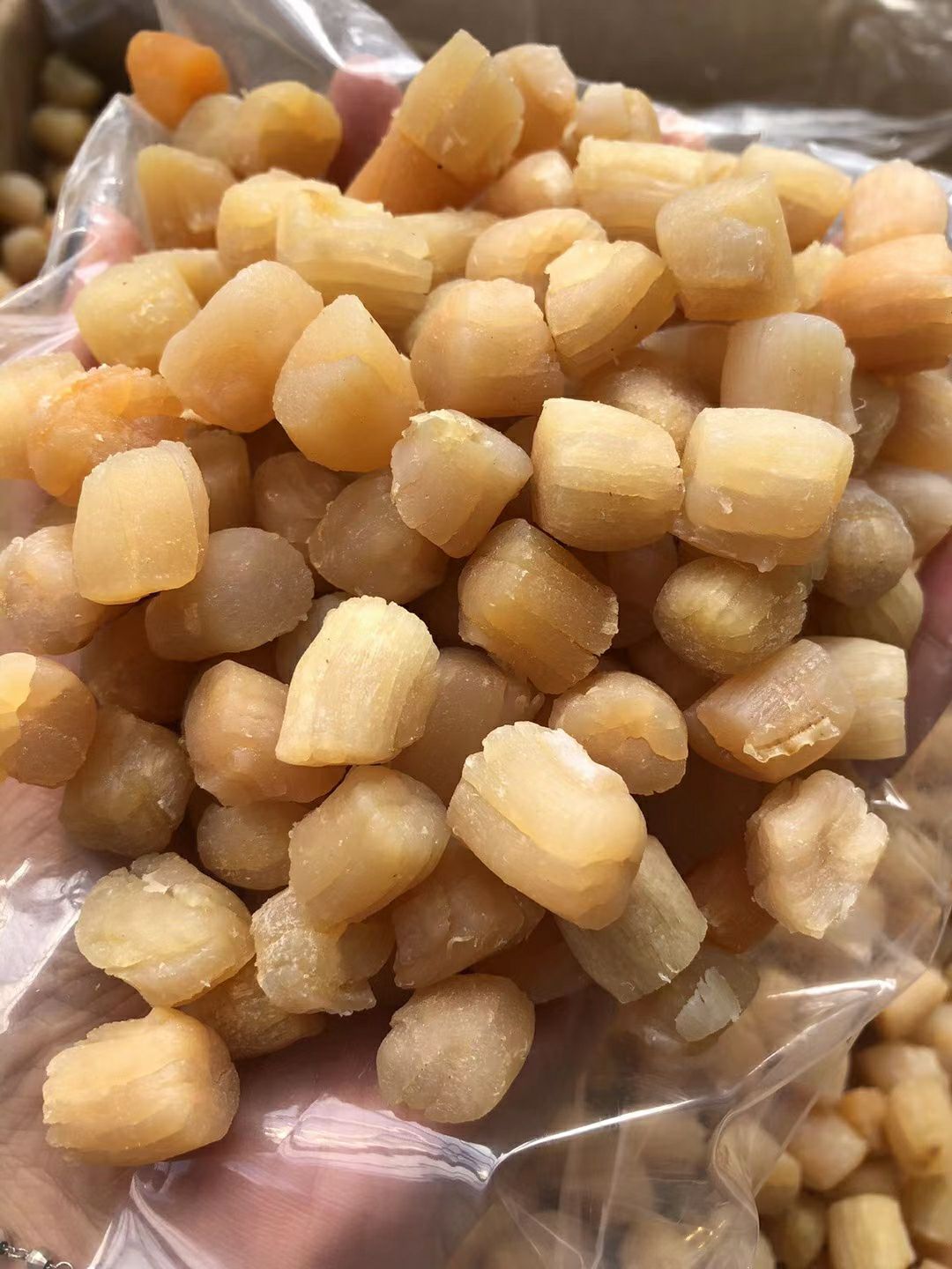 300头瑶柱 海味干货天然干贝批发