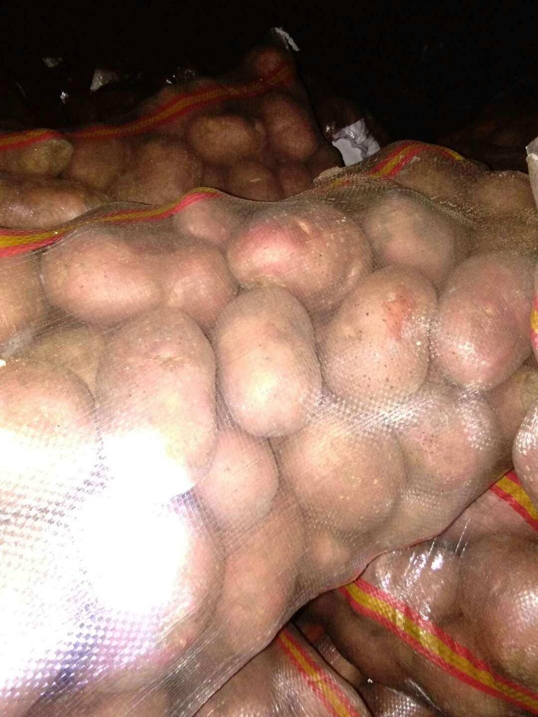 土豆种薯:经过脱毒纯度高亩产高，适应范围广，包种植技术。