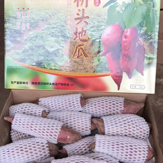 澄迈县红薯澄迈桥头地瓜鸣门金时香纳芋板栗薯甘薯沙土地瓜富硒地瓜产