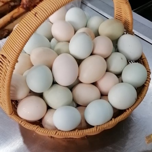 灵寿县初生蛋 供应纯生态笨鸡蛋