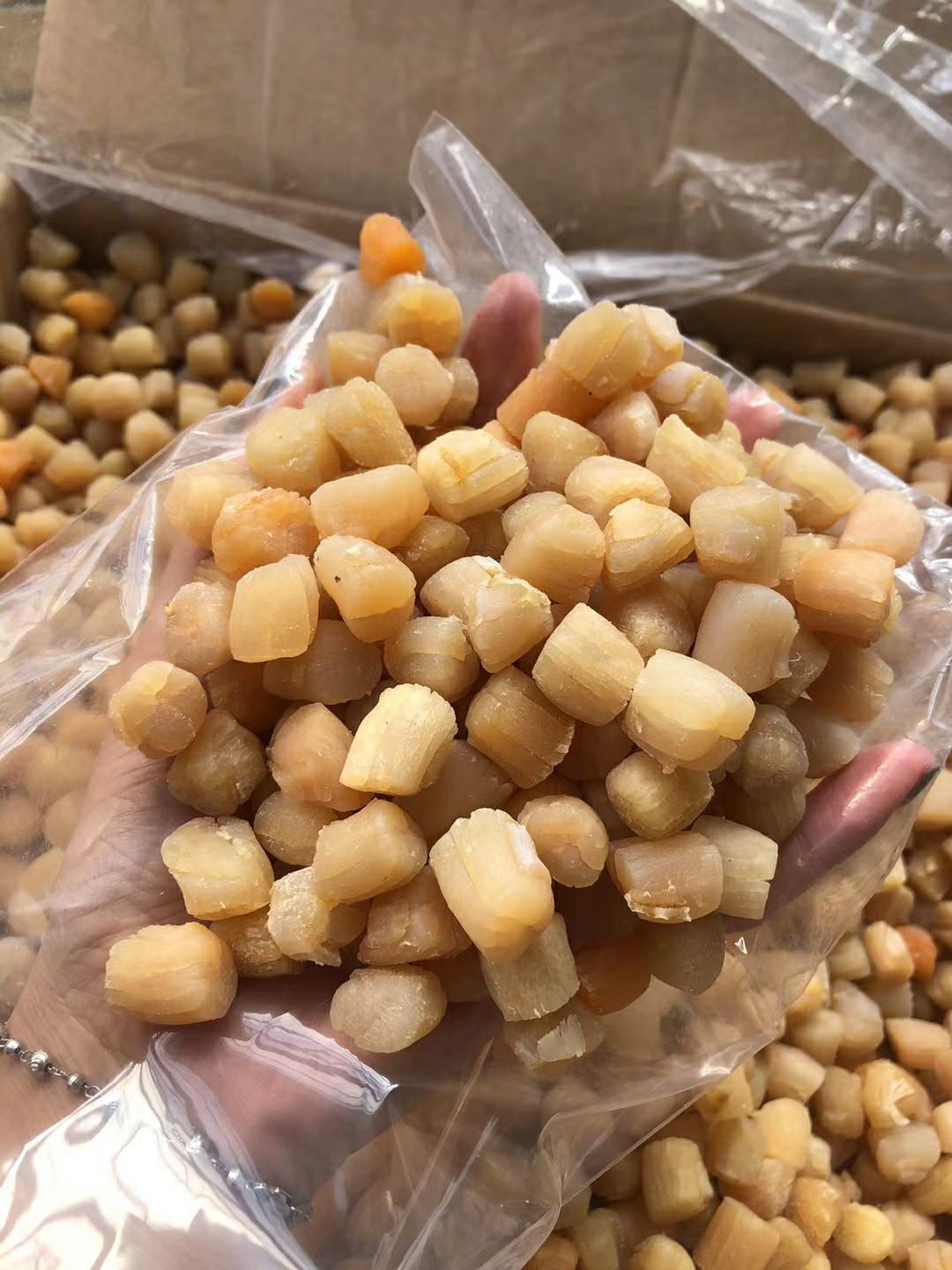 300头瑶柱 海味干货天然干贝批发