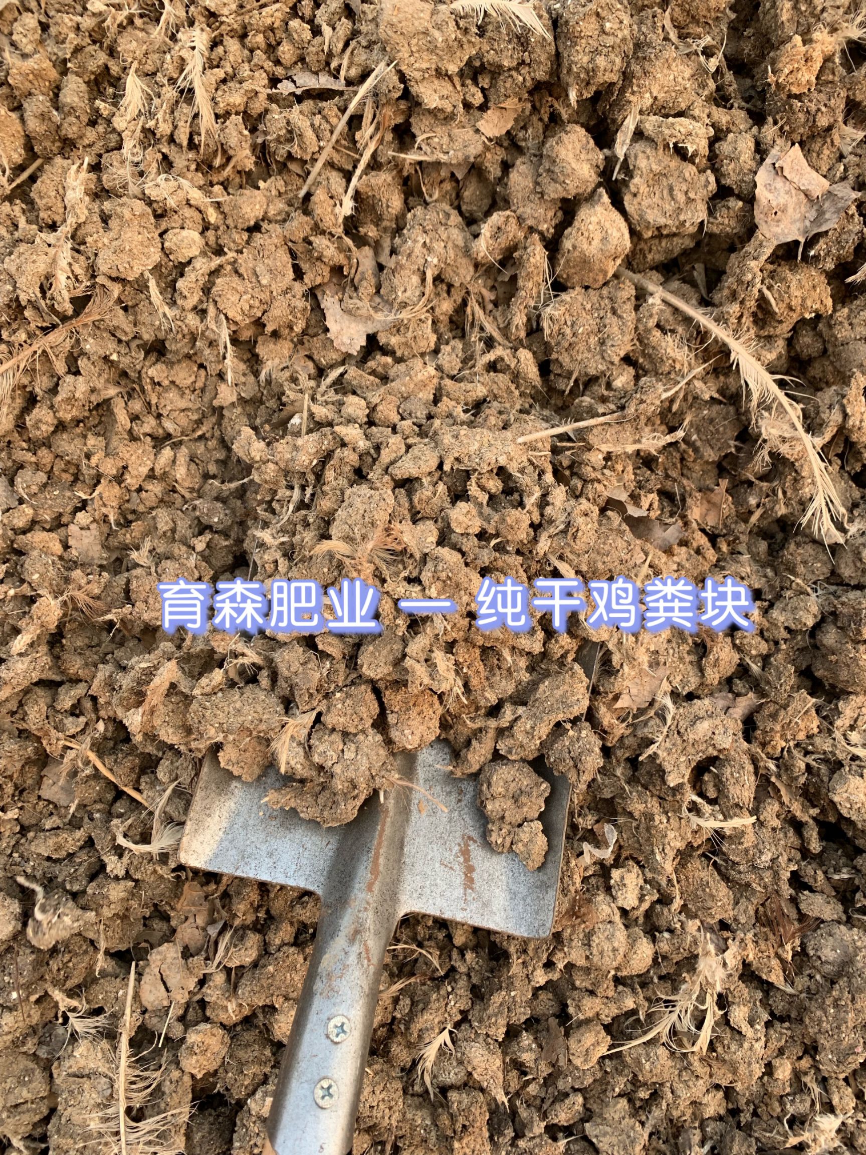 干鸡粪块 纯鸡粪干 假一赔十鸡粪