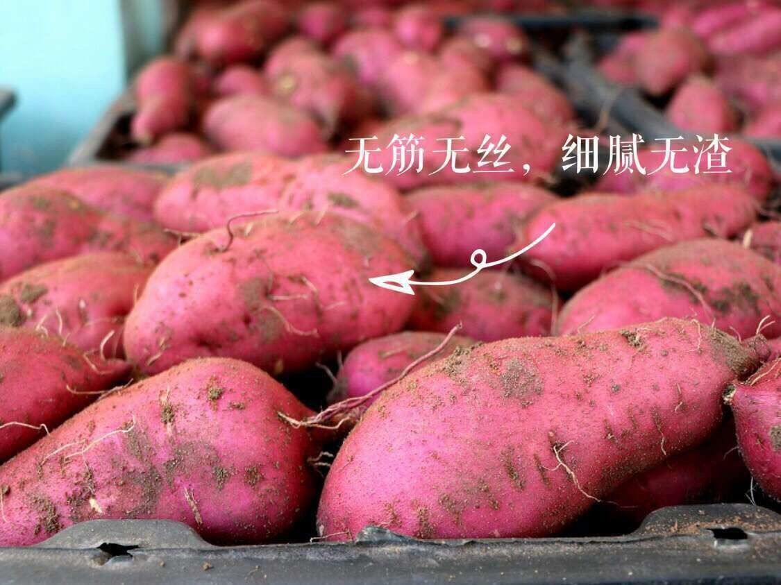 红薯澄迈桥头地瓜板栗薯甘薯沙土地瓜富硒地瓜一件代发