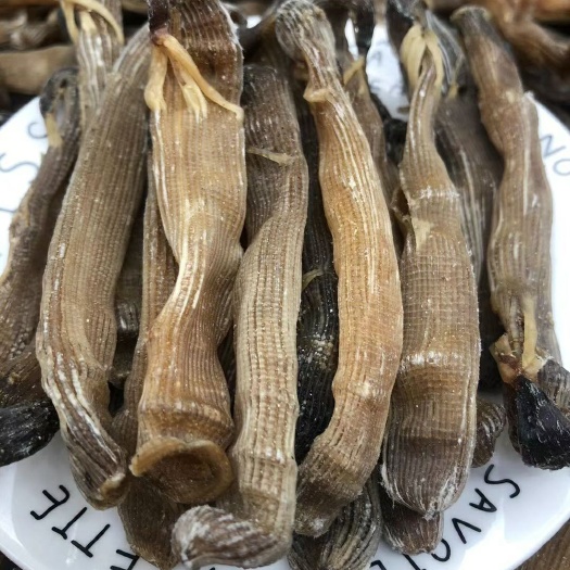 佛山天然大原色沙虫干500克，无漂泊大号原色沙干