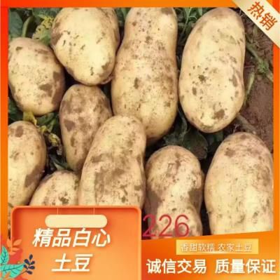 围场县大白花土豆  精品白心土豆:万亩沙地种植，颜色个头薯型三优，