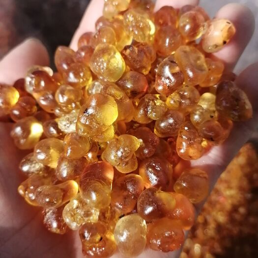 昆明桃胶 红黄胶 机磨胶 手工修胶  桃胶大货批发！
