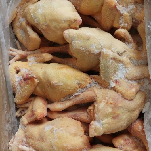 白条鸡 鸡肉生鲜冷冻三黄鸡散养鸡残鸡整箱20斤饭店食堂商用
