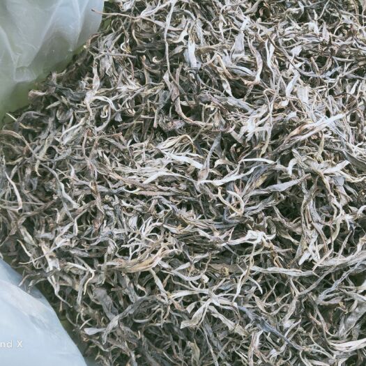 勐海县绿茶 勐海南糯山古树茶