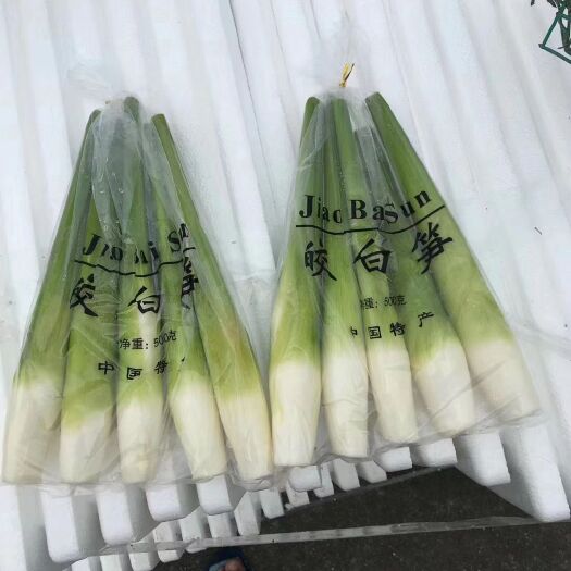 安溪县茭白 福建省泉州市安溪县