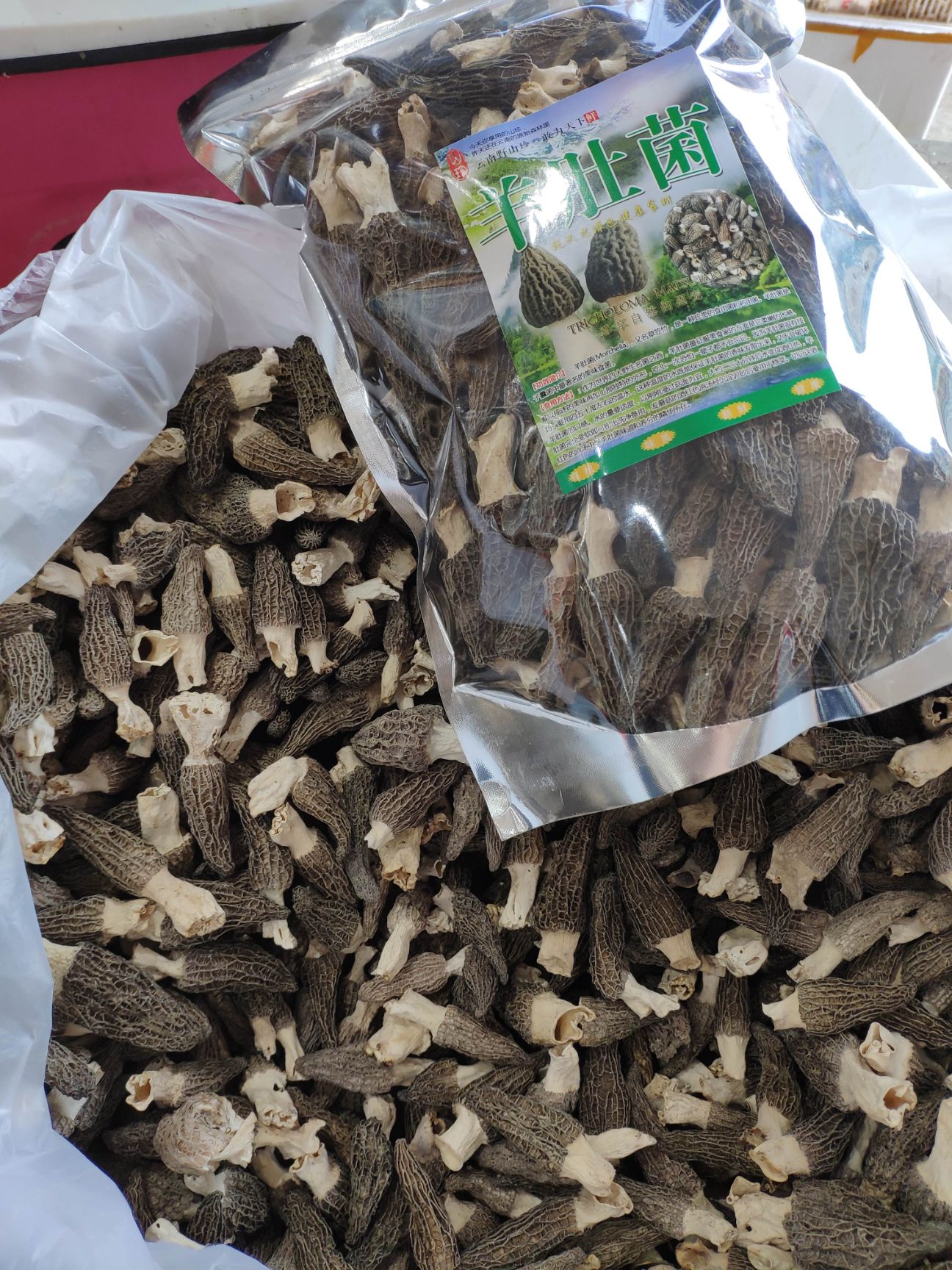 剪柄干羊肚菌品质非常高欢迎老板选购