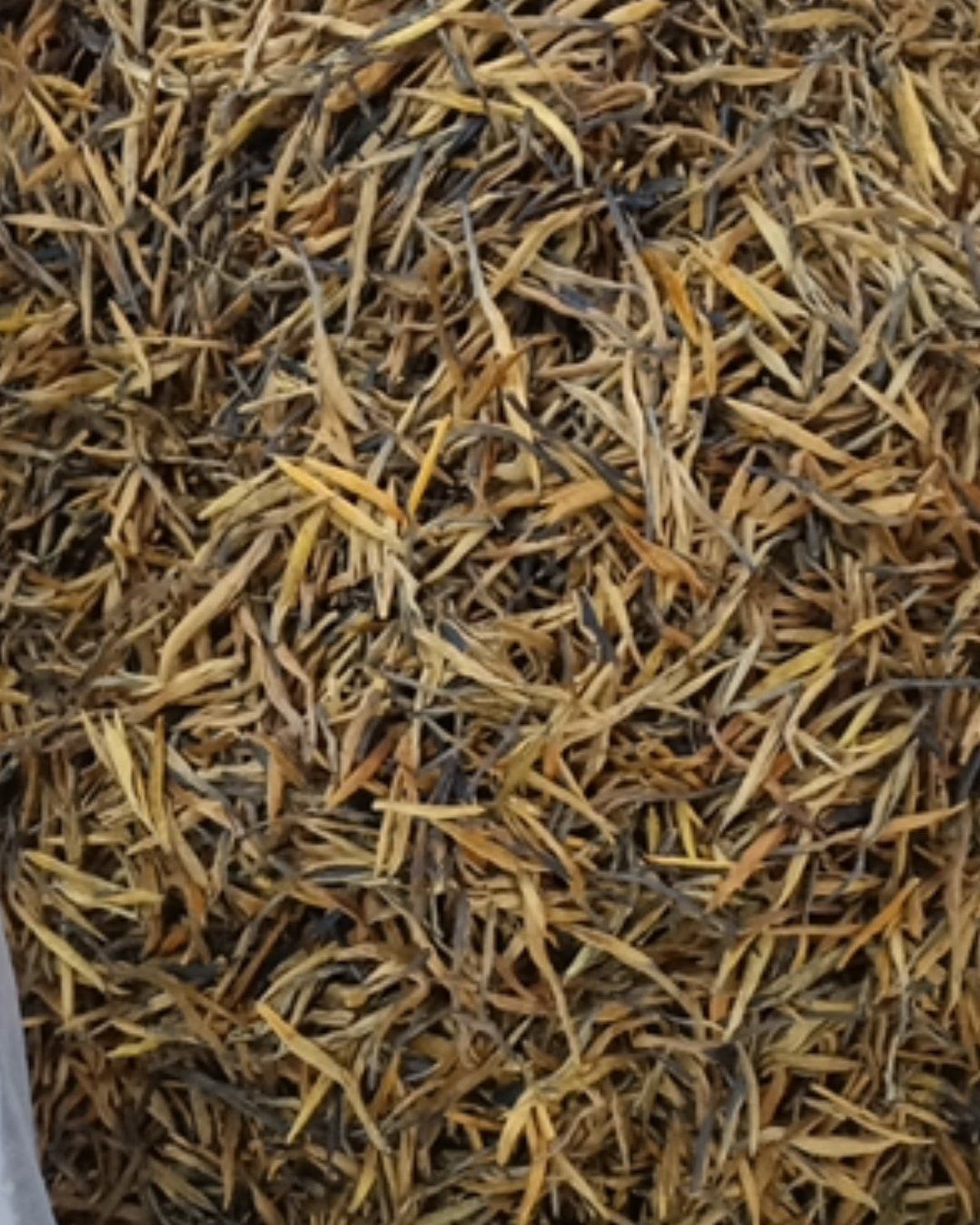 黄茶 滇红茶