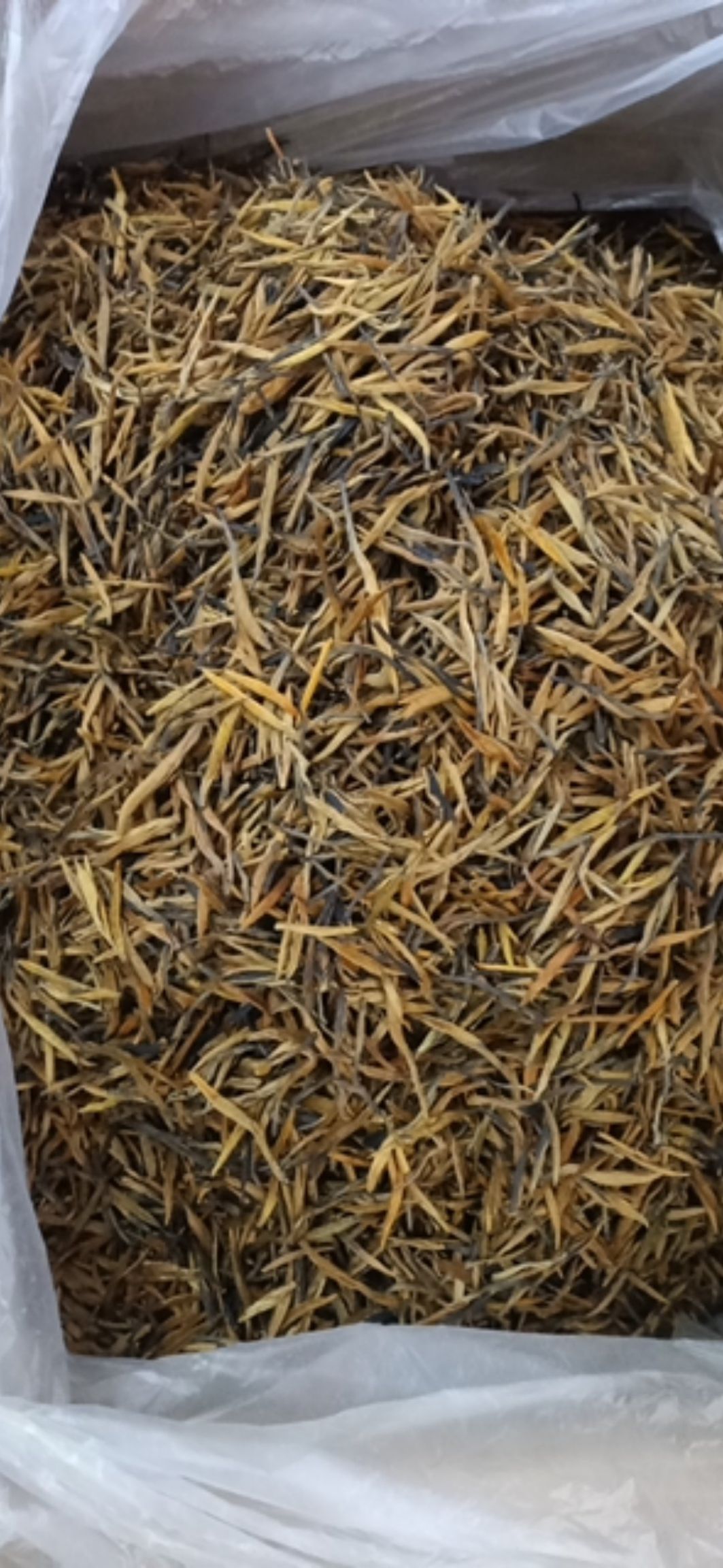 黄茶 滇红茶