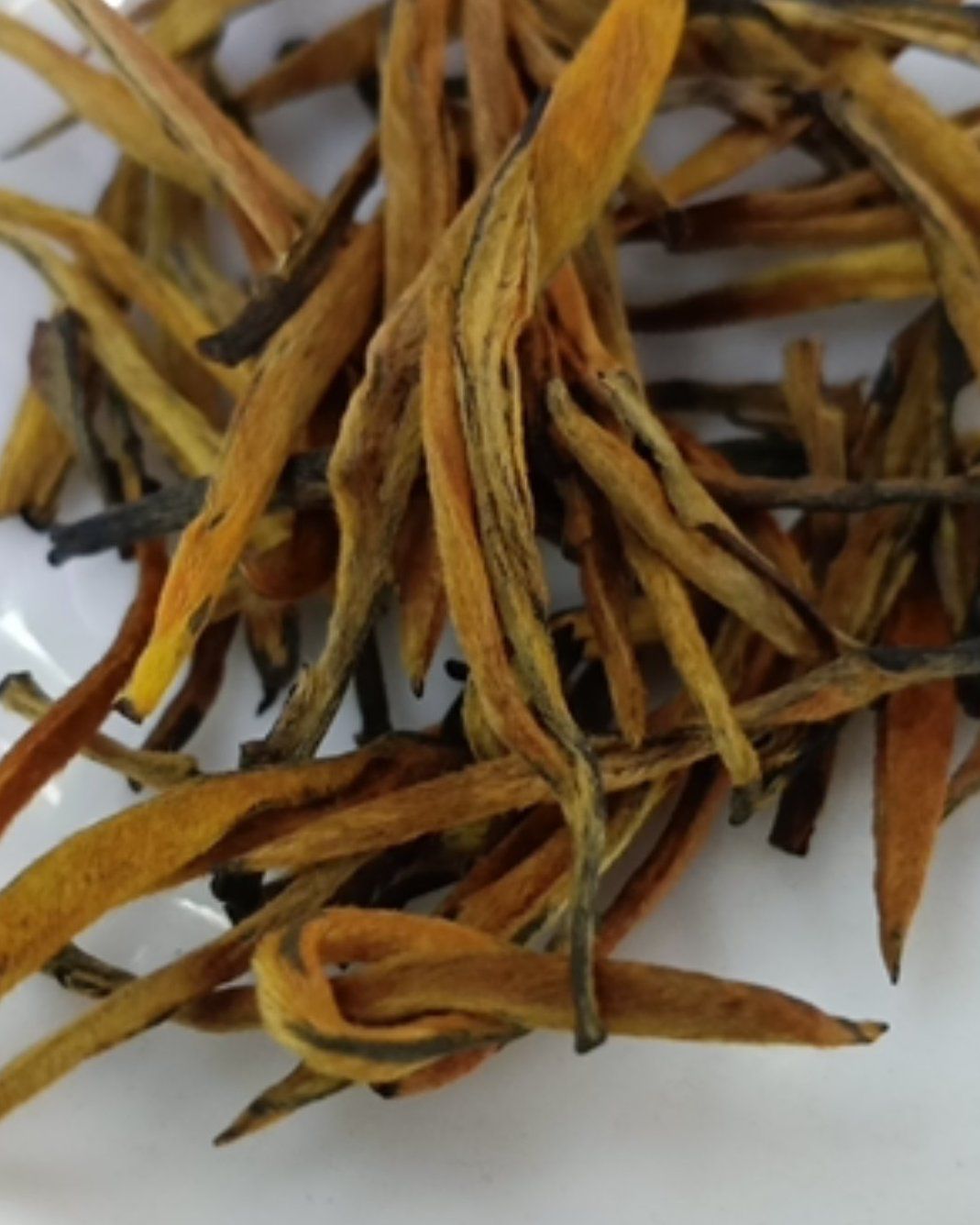 黄茶 滇红茶