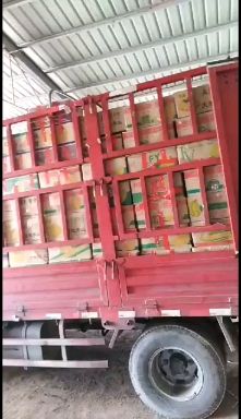 春季硬粉西红柿大量上市了欢迎来订货今