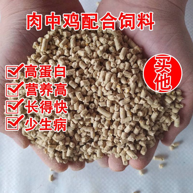 配合饲料  皖淮雏鸡饲料颗粒破碎土鹌鹑小鸡饲料钓鱼打窝散装包