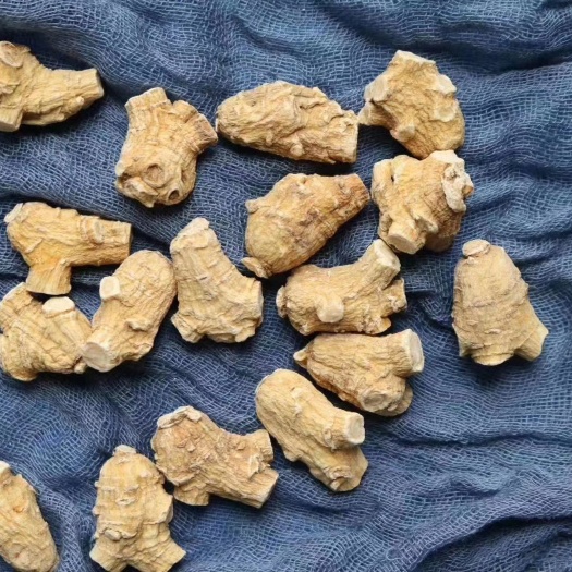 包邮 西洋参粒头 整支花旗参 东北西洋参大粒头